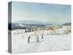 Stretched Canvas Print