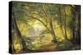 Stretched Canvas Print