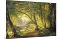 Premium Giclee Print