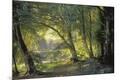 Premium Giclee Print