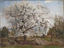 Apple Tree in Blossom-Carl Fredrik Hill-Premier Image Canvas