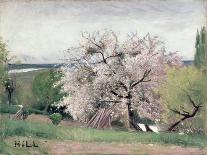 Apple Tree in Blossom-Carl Fredrik Hill-Mounted Giclee Print