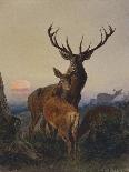 A Stag with Deer in a Wooded Landscape at Sunset-Carl Friedrich Deiker-Framed Giclee Print