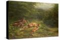 Stretched Canvas Print