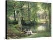 Stretched Canvas Print