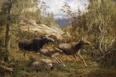 A Family of Moose-Carl Henrik Bogh-Premier Image Canvas