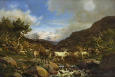 A Herd of Reindeer Fording a Stream in a Mountainous Landscape-Carl-henrik Bogh-Premier Image Canvas