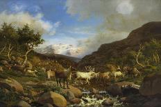 Family of Moose-Carl-henrik Bogh-Framed Giclee Print