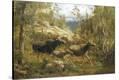 Stretched Canvas Print