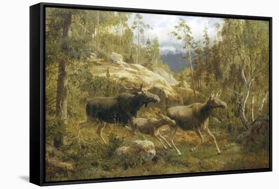 Stretched Canvas Print, , large