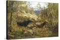 Stretched Canvas Print