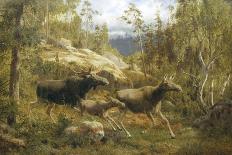 A Herd of Reindeer Fording a Stream in a Mountainous Landscape-Carl-henrik Bogh-Giclee Print