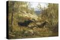 Stretched Canvas Print