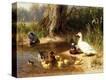 Stretched Canvas Print