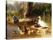 Stretched Canvas Print