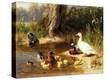 Stretched Canvas Print