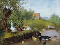 Ducks at the Water's Edge, 1874-Carl Jutz-Giclee Print