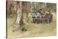 Stretched Canvas Print