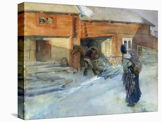 Stretched Canvas Print, , large