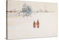Stretched Canvas Print