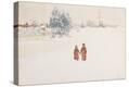 Stretched Canvas Print