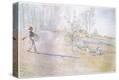 Stretched Canvas Print