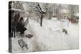 Stretched Canvas Print