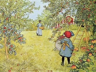 Trampe Forinden format The Apple Harvest' Giclee Print - Carl Larsson | Art.com