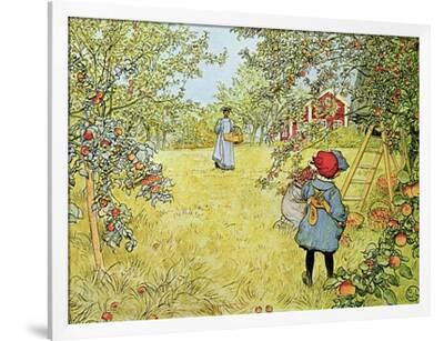 The Apple Harvest' Giclee Print - Carl Larsson | Art.com