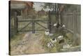 Stretched Canvas Print
