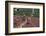 Carl Lewis Crosses the Finishing Line at the Los Angeles Olympics-null-Framed Photographic Print