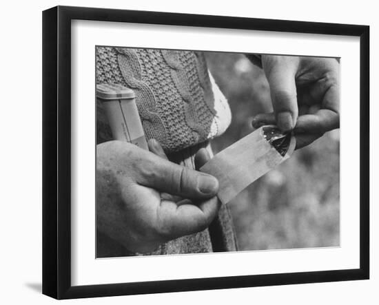 Photographic Print, , large