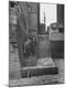 Photographic Print