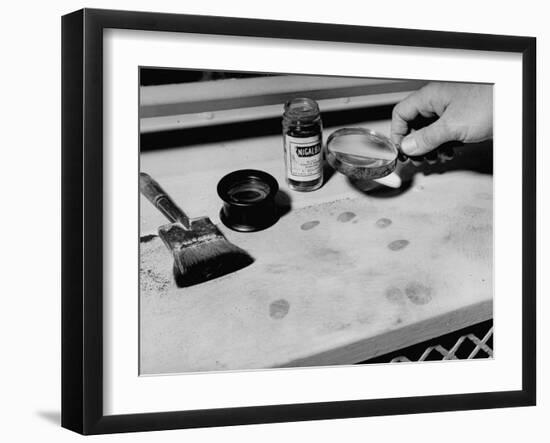 Photographic Print, , large