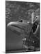 Premium Photographic Print