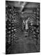 Premium Photographic Print