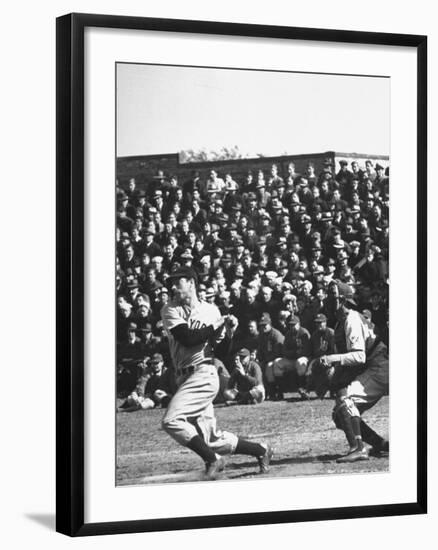 Premium Photographic Print, , large
