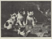 Playful Kittens-Carl Reichert-Framed Art Print