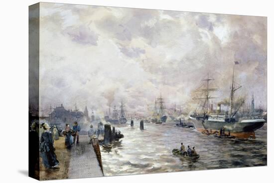 Stretched Canvas Print, , large