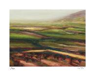 Fog and Fields-Carl Stieger-Framed Limited Edition