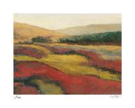 Vibrant Afternoon-Carl Stieger-Framed Limited Edition