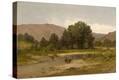 Stretched Canvas Print