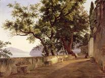 Garden of the Capuchin Friars, Near Sorrento, 1827-Carl Wilhelm Goetzloff-Giclee Print