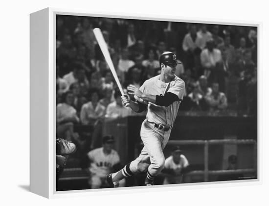 Carl Yastrzemski-Art Rickerby-Framed Premier Image Canvas