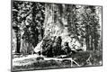 Photographic Print