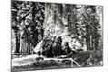 Photographic Print