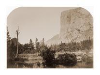 The "Grizzly Giant" - 33 feet diameter - with Galen Clark, Mariposa Grove, Yosemite, California, 18-Carleton Watkins-Art Print