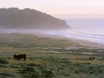 Big Sur-Carli Choi-Framed Photographic Print