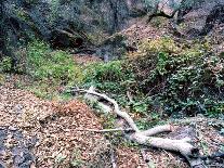 Big Sur-Carli Choi-Framed Photographic Print