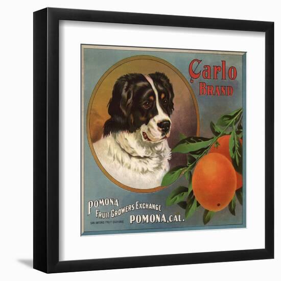 Carlo Brand - Pomona, California - Citrus Crate Label-Lantern Press-Framed Art Print